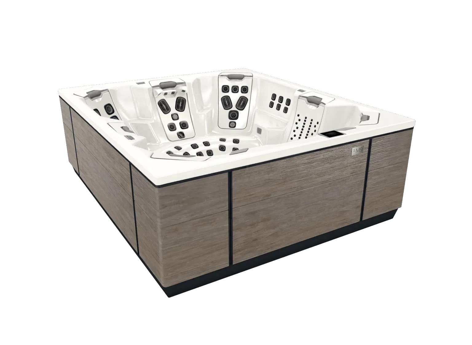 Bullfrog Spa M9 - Afbeelding 2